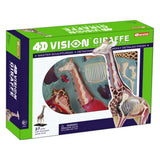 Visione in 4D: Giraffa